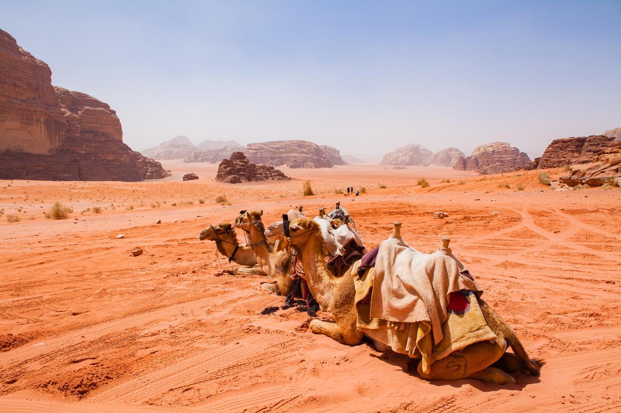 Hotel Arabian Nights Wadi Rum Esterno foto