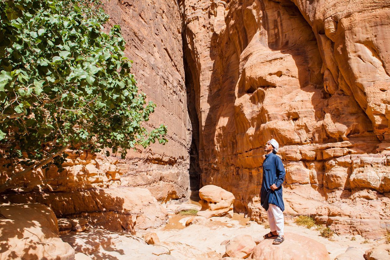 Hotel Arabian Nights Wadi Rum Esterno foto